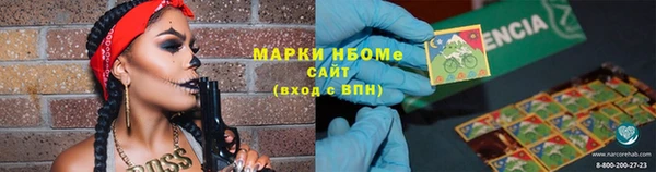 шишки Мегион