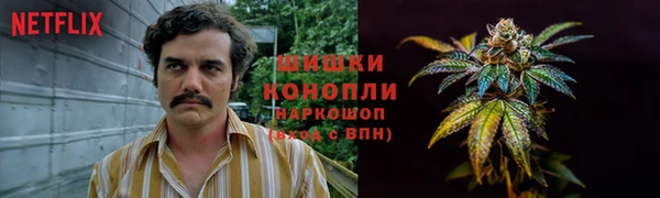 шишки Мегион