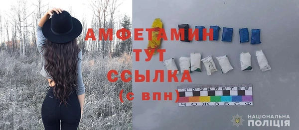 шишки Мегион