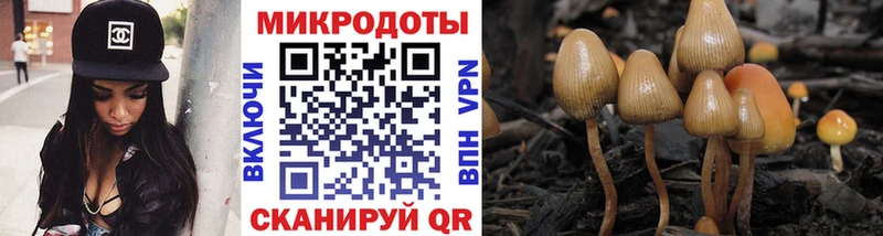 дарнет шоп Пойковский Галлюциногенные грибы ЛСД